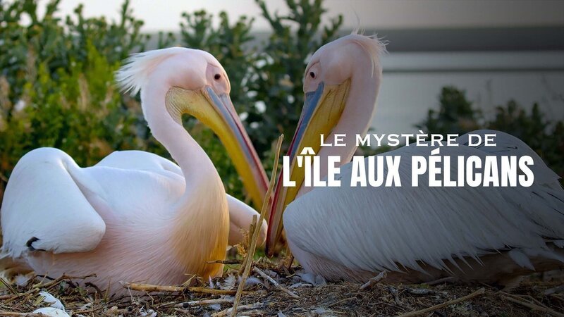 – Bild: Arte – Bild: Arte