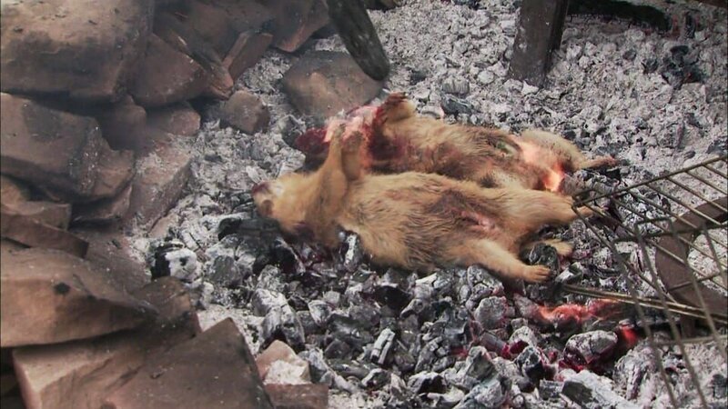 A festive roast is served to celebrate the day: prairie dog cooked in aluminum foil. Corn stew with chili peppers and elk loin is served as a side dish. – Bild: Discovery Channel