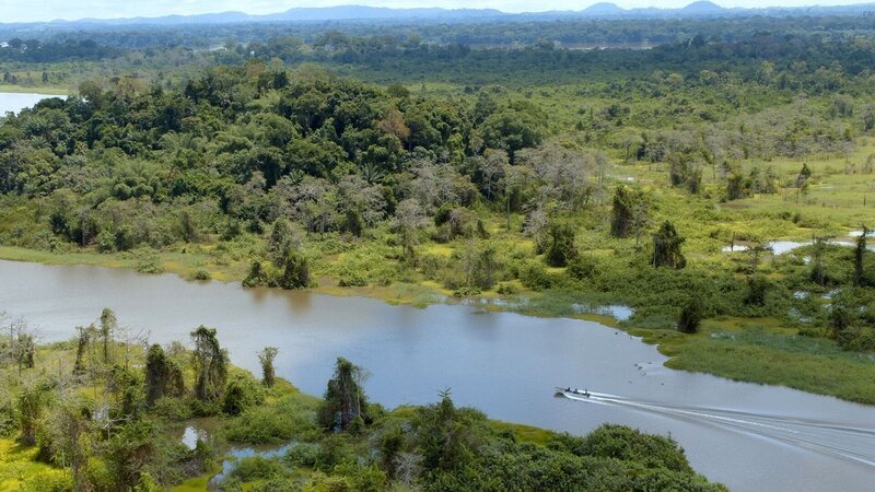 Zusammen mit den Einheimischen wird der Wasserfarn abgetragen und zu Holzkohle verarbeitet, entweder für den Eigenbedarf oder den Verkauf. – Bild: Marius Van Graan