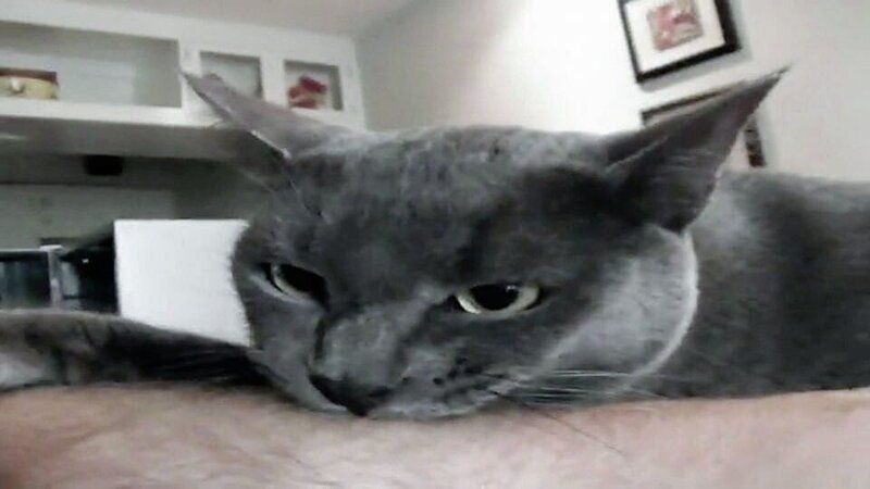 Giver the cat. – Bild: Warner Bros. Discovery