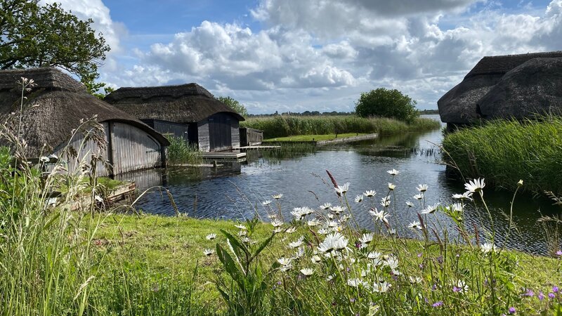 Die Norfolk Broads sind eine von Menschen geschaffene Kulturlandschaft. Zum Dachdecken wird noch heute Reet verwendet. – Bild: arte, Heike Nikolaus
