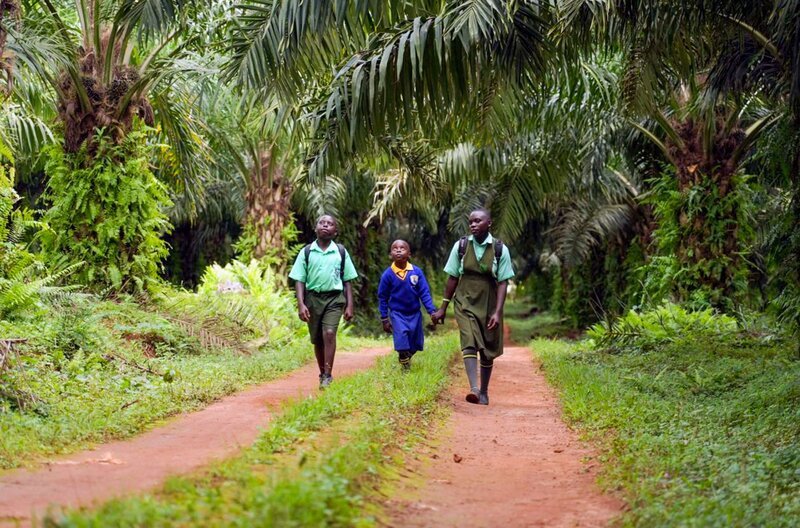 Bwambale Dan, Masereka Stuart und Muhindo Daphine (v.l.) bei ihrem Gang zur Schule: Der Weg ist beschwerlich und dauert mehrere Stunden. – Bild: Fabian Bashota/​Maximus Film