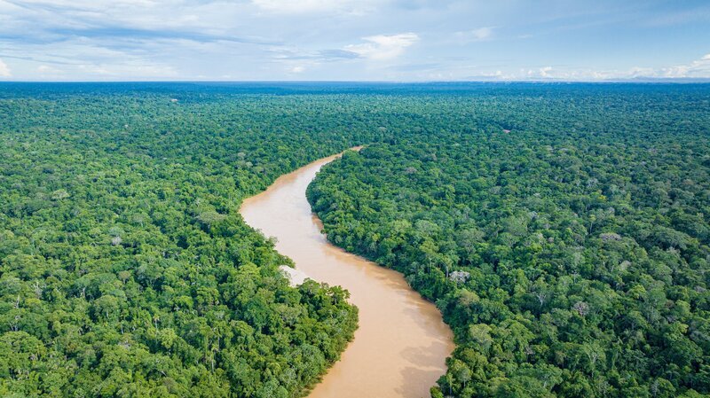 In Peru liegt eine der artenreichsten Regionen der Welt, wo die Anden enden und das Amazonasbecken beginnt. Der peruanische Teil des Amazonas-Regenwaldes ist ein wichtiges Rückzugsgebiet für bedrohte Tierarten. – Bild: ZDF und Oliver Roetz