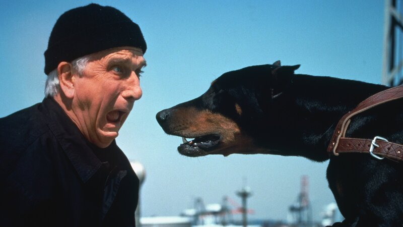 Lt. Frank Drebin (Leslie Nielsen) hat mal wieder alle Hände voll zu tun und läuft von Katastrophe zu Katastrophe. – Bild: ZDF und Ron Phillips