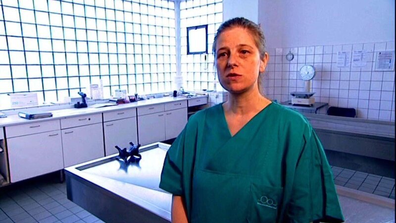 Fall „Tödliche Weihnachten“: Die Rechtsmedinerin Dr. K. M. Stein erläutert ihre Ermittlungsergebnisse. – Bild: TVNOW