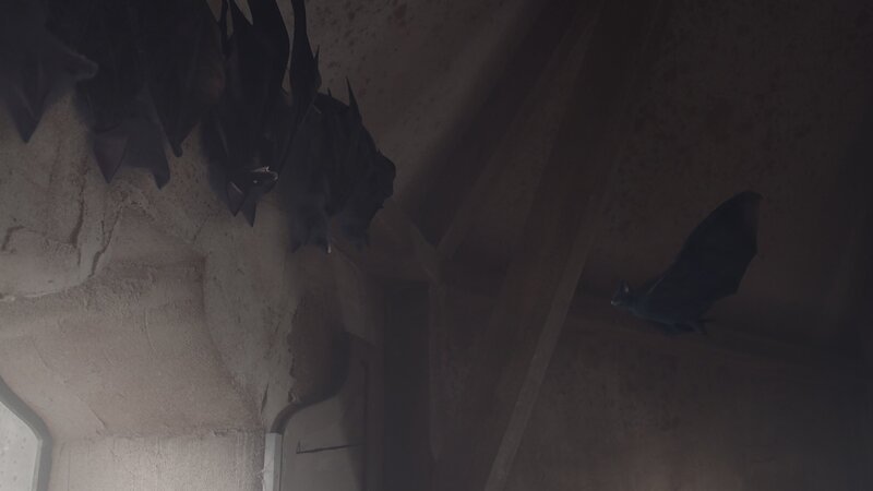 Die Fledermäuse in Mildreds Zimmer, die an der Decke baumeln, haben Mildred auf die Idee gebracht, sich in eine Fledermaus zu verwandeln. So kann sie ihr Zimmer durchs Fenster verlassen. – Bild: ZDF/​BBC/​ZDF Enterprises