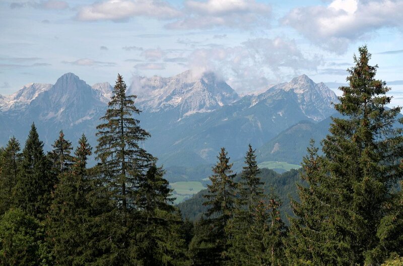 Marlen Haushofers Roman „Die Wand“ spielt in der Einsamkeit der österreichischen Berge. – Bild: Elephant Doc