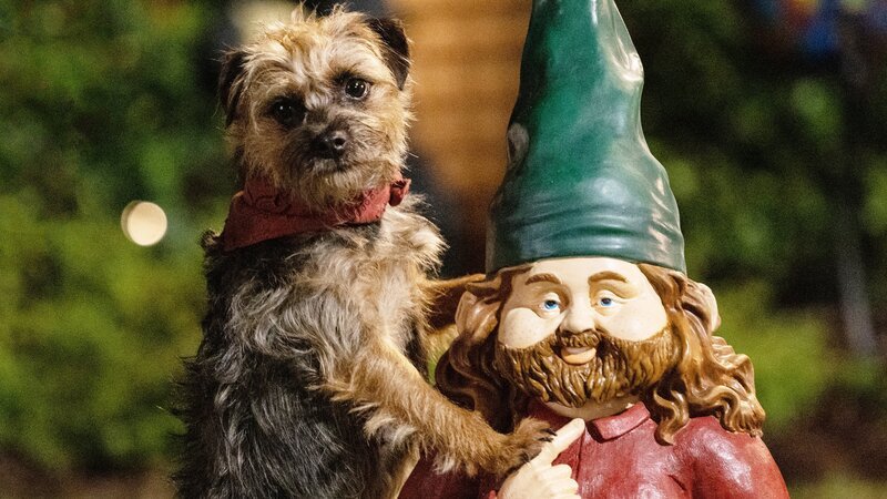 Reggie – Bild: CH Media