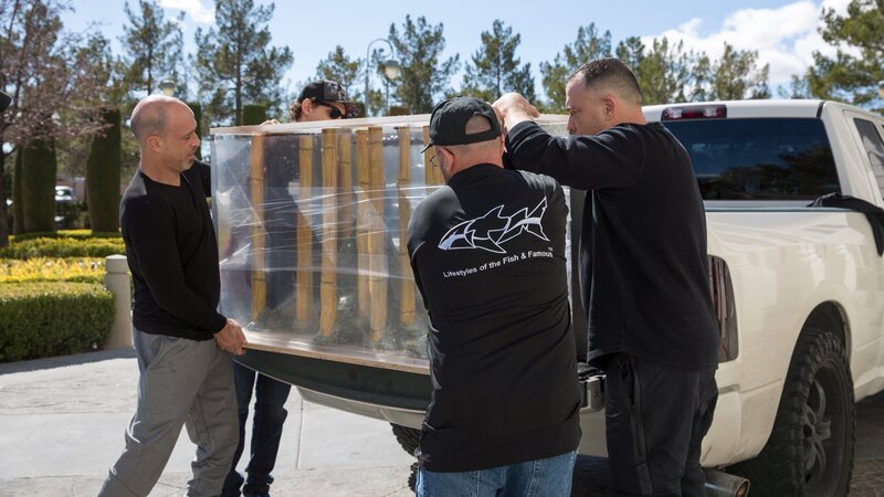 Taking the dentist tank off the truck. – Bild: Animal Planet /​ Discovery Communications