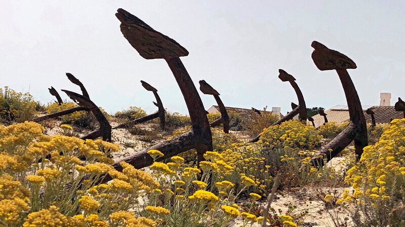 Ankerfriedhof am Strand Praia do Barril: Er erinnert an die Zeit, als an der Algarve in großem Umfang Thunfisch gefangen wurde. – Bild: SWR/​Kirsten Ruppel