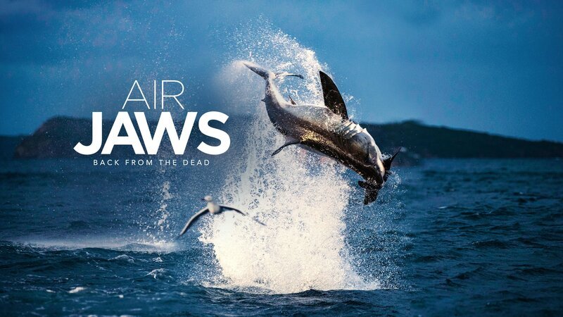 Bild: ProSieben MAXX