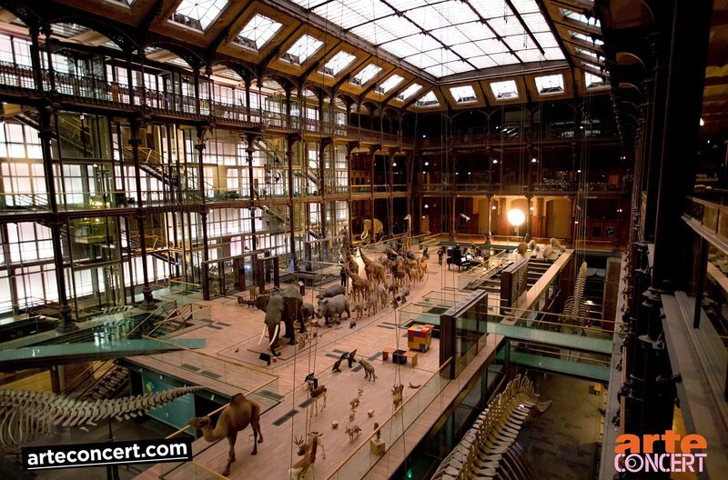 Der symbolträchtige Ort der Aufführung ist die Grande Galerie de l’Évolution des Naturhistorischen Museums in Paris. – Bild: Véronique Fel