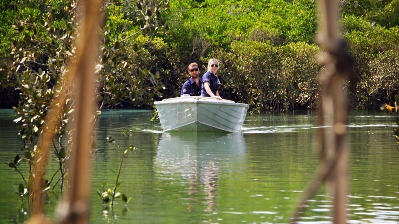 . – Bild: Warner Bros. Discovery