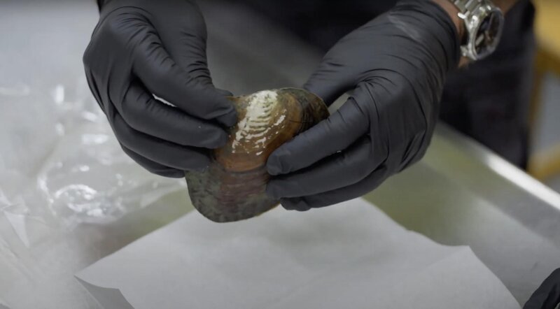 Bild: Seven Network (Operations) Limited