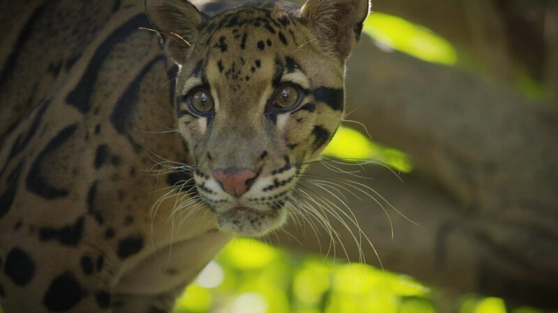  – Bild: Warner Bros. Discovery