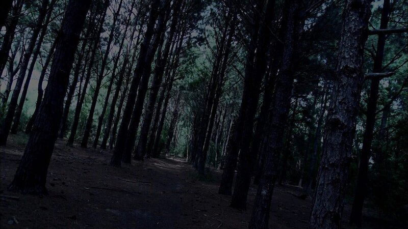 +++ – Bild: RTL Crime