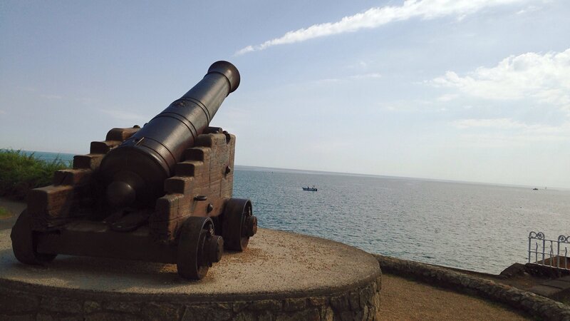 Bild: Tammy Jinariu /​ EyeEm /​ Getty Images/​EyeEm /​ EyeEm 717293941