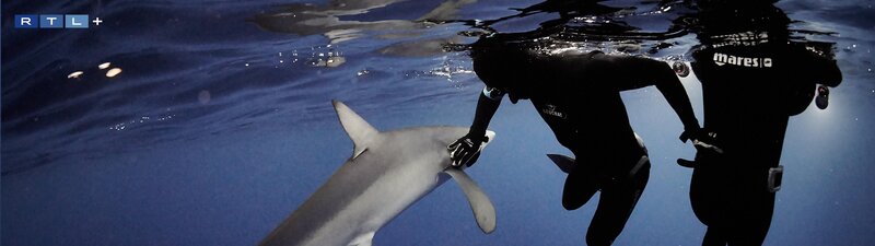 Bild: RTL