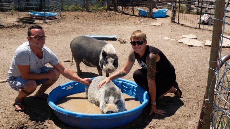 . – Bild: Warner Bros. Discovery