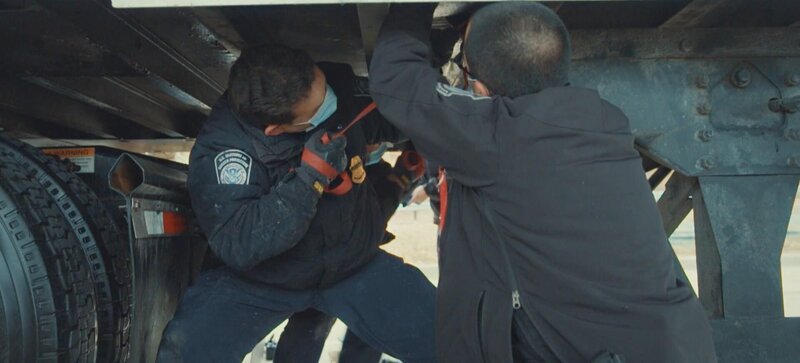 Bild: Stampede Productions Ltd /​ Jaylend Shields Lizenzbild frei