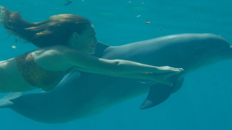 Cleo (Phoebe Tonkin) hat sich mit Ronny, dem neuen Delphin im Freizeitpark, angefreundet. – Bild: ZDF und Jasin Boland