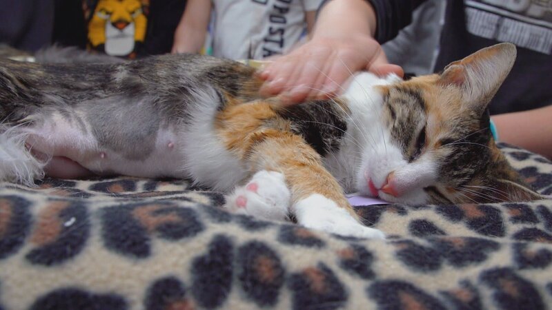 . – Bild: Warner Bros. Discovery