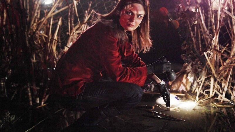 Brennan sucht in einem Sumpf nach Spuren. – Bild: TVNOW /​ FOX