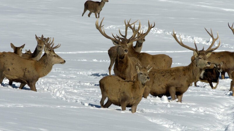 Bild: Bergblick Bild: Bergblick