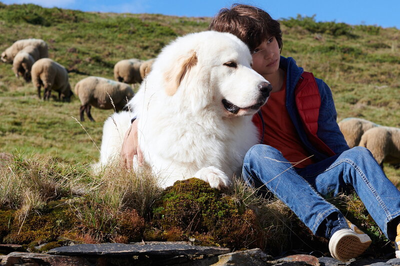 Belle & Sebastian - Ein Sommer voller Abenteuer – Bild: SRF1