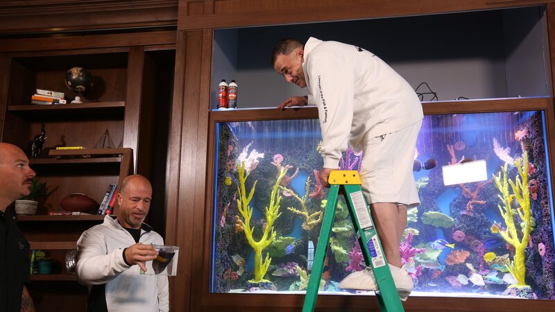 The guys put fish inside Clay Matthews’ tank. – Bild: Animal Planet /​ Discovery Communications