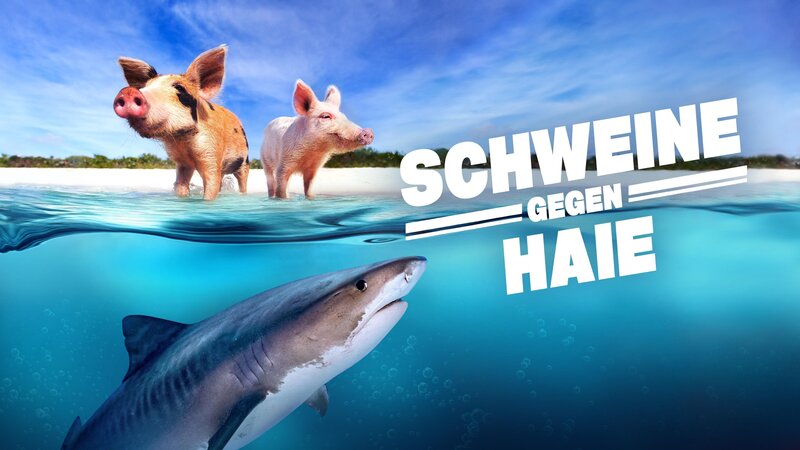 Bild: Warner Bros. Discovery, Inc. or its subsidiaries and affiliates