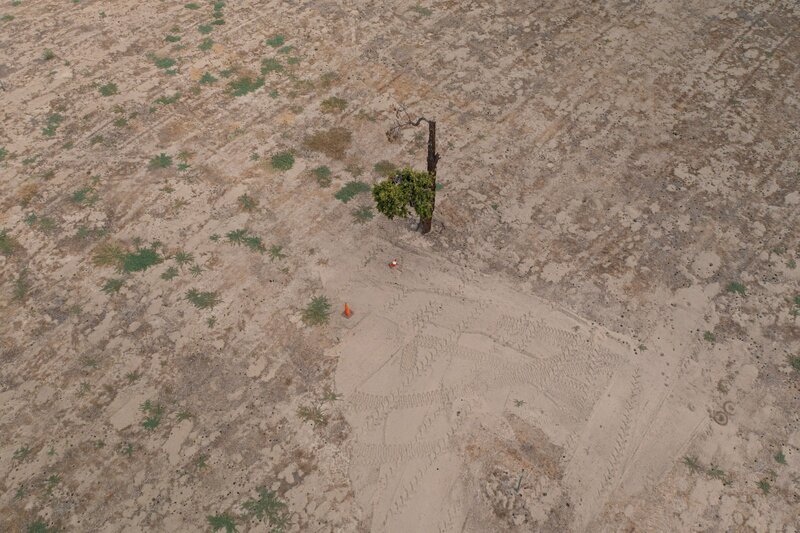 Luftaufnahme des Bodens – Bild: Brandon Hickman /​ abacus /​ Peninsula Television 2021