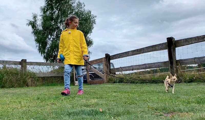 Alissa und Bambi kommen in die Hundeschule. – Bild: MDR/​STARSHIPFILM GmbH