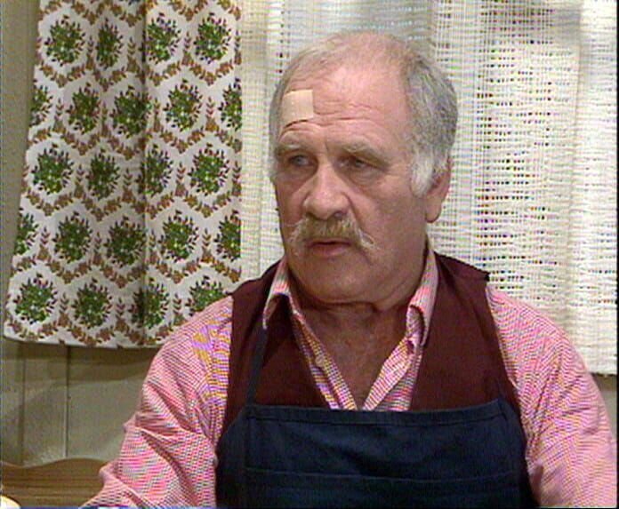 Vinzenz Bergmoser, Bauer (Peter Steiner) – Bild: S: Heimatkanal (DE)