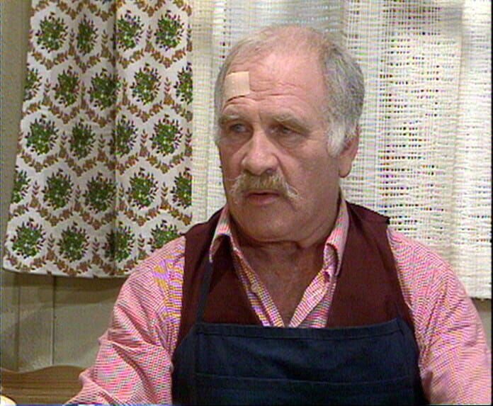 Vinzenz Bergmoser, Bauer (Peter Steiner) – Bild: S: Heimatkanal (DE)