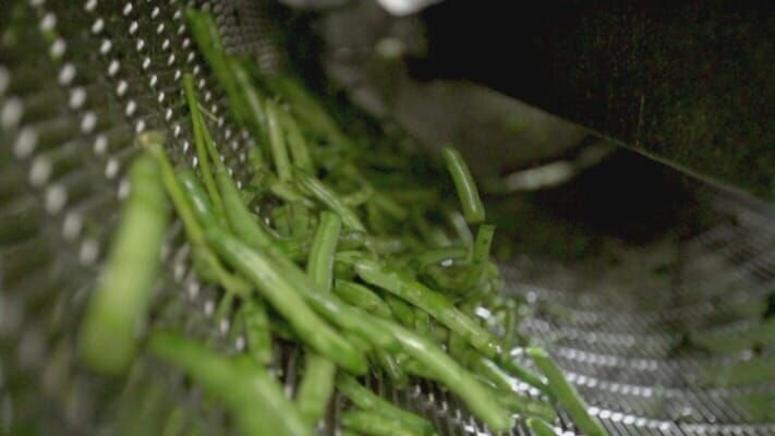 Bild: Telefónica de España/​National Geographic