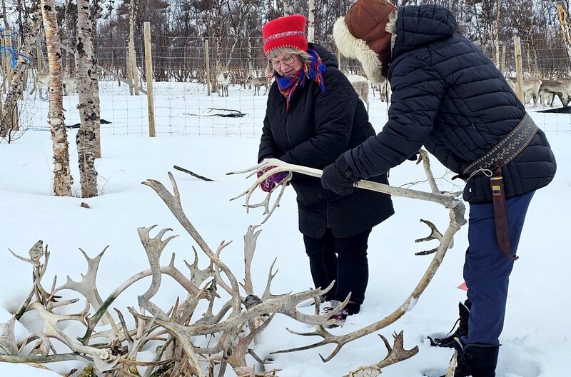 Die Winter in Nordnorwegen sind milder geworden. Häufig liegen die Temperaturen über dem Gefrierpunkt, der Schnee taut an und gefriert wieder. Eine harte Eisschicht entsteht. Für die Rentiere, die ihr Futter unter der Schneedecke suchen, bedeutet das Hunger und Gefahr. – Bild: NDR Die Winter in Nordnorwegen sind milder geworden. Häufig liegen die Temperaturen über dem Gefrierpunkt, der Schnee taut an und gefriert wieder. Eine harte Eisschicht entsteht. Für die Rentiere, die ihr Futter unter der Schneedecke suchen, bedeutet das Hunger und Gefahr. – Bild: NDR