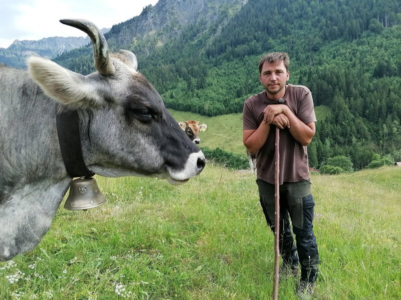 Christian Schratz und seiner Leitkuh Afra steht einer der steilsten-Alp-Auftriebe im Allgäu bevor. Es geht auf die Gehrenalpe hinauf, die 70 Jahre lang brach lag und die der 36jährige Christian vor sieben Jahren wieder urbar machte. Afra ist mit 15 Jahren die Herdenälteste. Es ist ungewiss, ob sie den steilen Pfad hinauf noch einmal schafft. – Bild: Brigitte Kornberger /​ BR