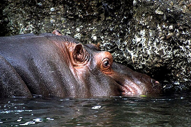 Bild: DMB /​ TELE/​TPS