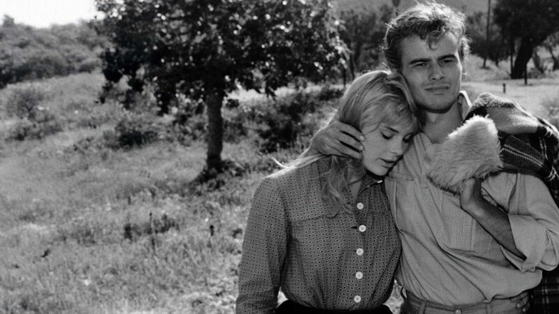 – Bild: Arte – Bild: Arte