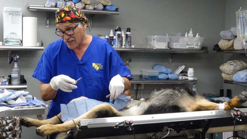 Dr. Jeff – Bild: PLURIMEDIA (Discovery Communications)