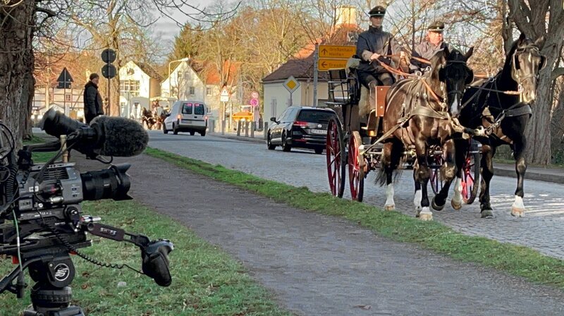 Moritzburg Gestüt – Bild: MDR/​René Römer