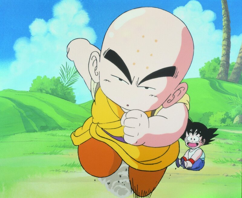 Bild: Bird Studio/​Shueisha, Toei Animation