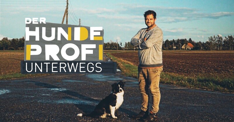 Logo zu „Der Hundeprofi unterwegs“ – Bild: MG RTL D