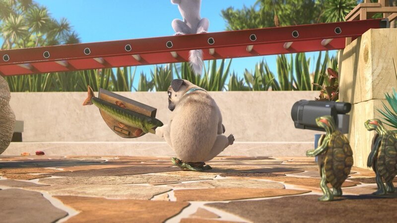 Bild: PLURIMEDIA (TeamTo)