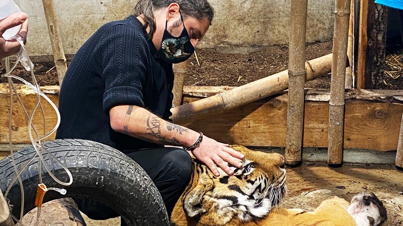 SRF bi de Lüt – Echte Tierhelden Marc Zihlmann untersucht Bavati 2021 Folge 2 und 3 – Bild: SRF