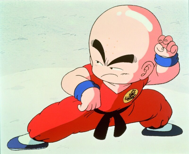 Bild: Bird Studio/​Shueisha, Toei Animation