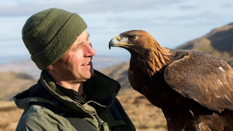 Lloyd Buck mit seinem Steinadler Tilly. – Bild: ZDF und ORF/​BBC/​Simon Baxter