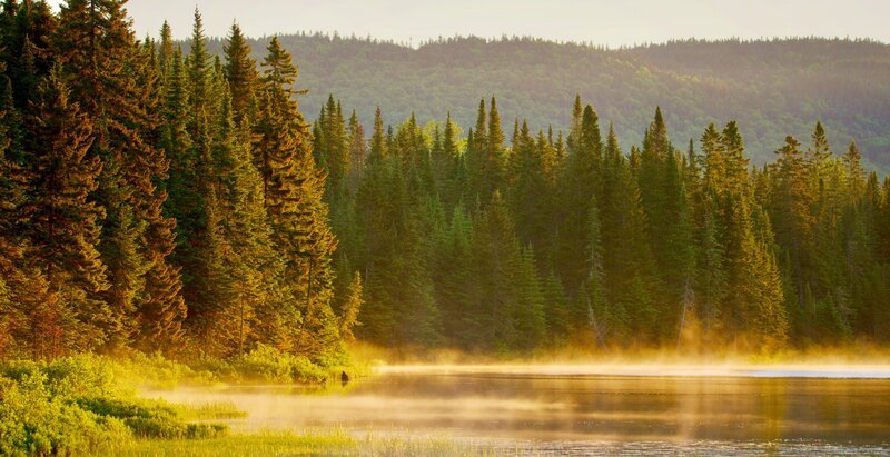 See und Fichtenwald, in den Adirondack Mountains. – Bild: ORF/​SKYLAND Productions