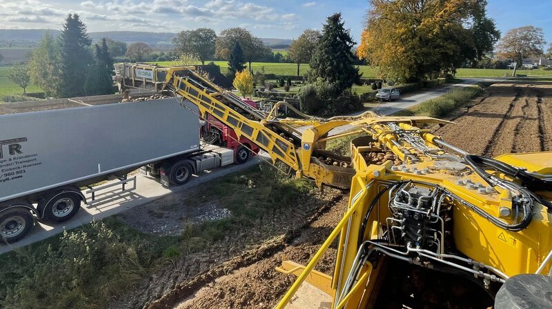 Ein Rübenreinigungslader, auch „Rübenmaus“ genannt, verlädt die gerodeten Zuckerrübern auf LKWs. – Bild: NDR/​Benjamin Cordes